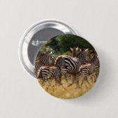 シマウマが移動:千マイルの旅 缶バッジ (正面&裏面)