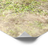 シマウマとフォール ポスター (角)