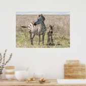 シマウマとフォール ポスター (キッチン)