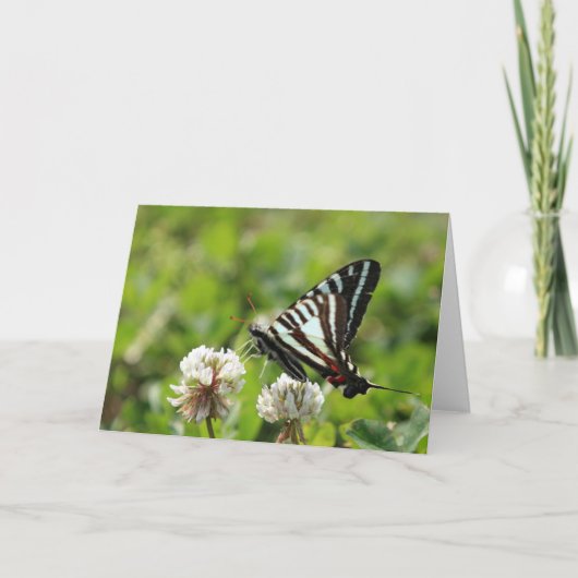 シマウマのアゲハチョウの蝶 カード (正面)