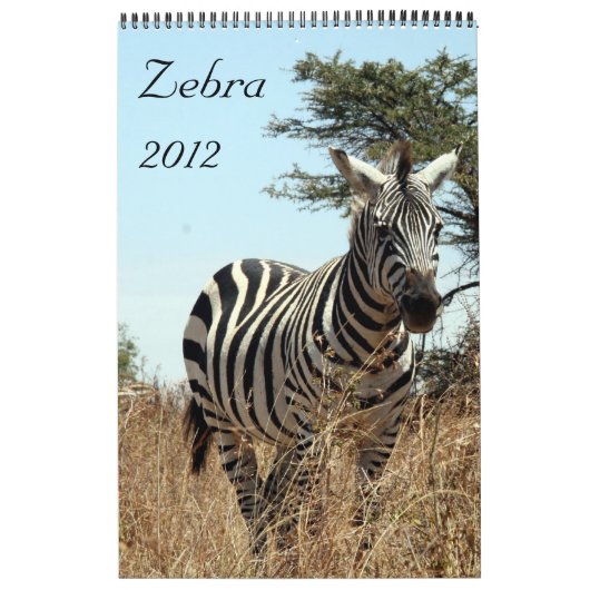 シマウマのカレンダー2012年 カレンダー (カバー)