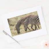 シマウマのグレーズ 長方形シール (封筒)