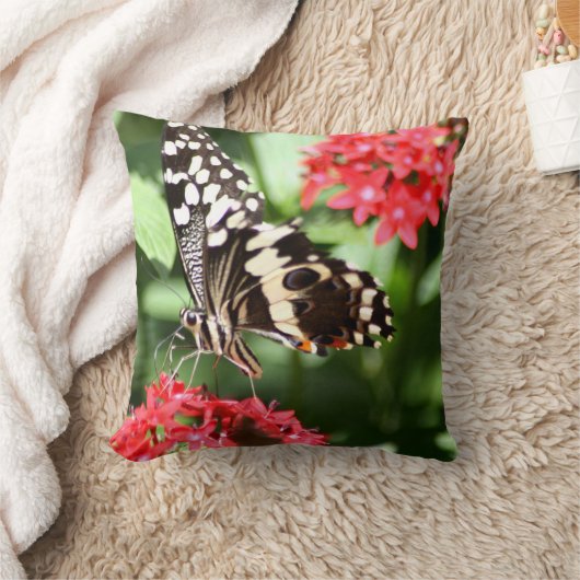 シマウマのストライプのな蝶 クッション (ブランケット)