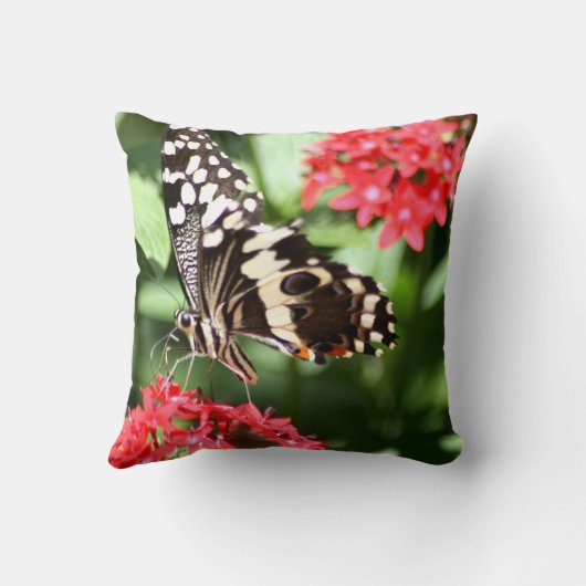 シマウマのストライプのな蝶 クッション (裏面)