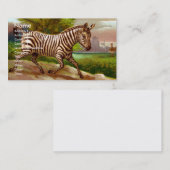 シマウマの名刺 名刺 (正面/裏面)