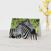 シマウマの抱擁 カード (黄色い花)