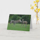 シマウマの挨拶状を蹴ること カード (黄色い花)