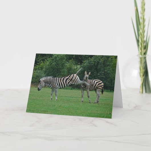 シマウマの挨拶状を蹴ること カード (正面)