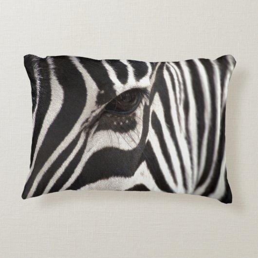 シマウマの枕 アクセントクッション (裏面)