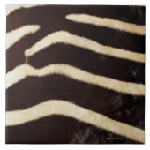 シマウマの皮 タイル (正面)