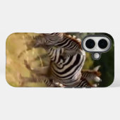 シマウマの移動:千マイルの旅。 Case-Mate iPhoneケース (裏面 (横))