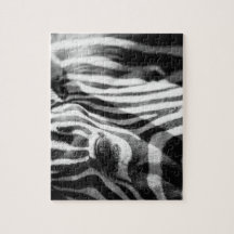 シマウマの終わり