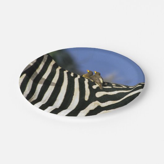 シマウマの背中に赤いハシのオキセカの鳥 – ジンバブエ ペーパープレート (アングル)