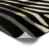 シマウマの背中に赤いハシのオキセカの鳥 – ジンバブエ ポスター (角)