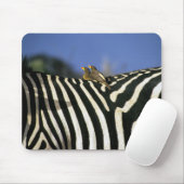 シマウマの背中に赤いハシのオキセカの鳥 – ジンバブエ マウスパッド (マウス)
