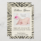 シマウマの誕生の発表 案内状 (正面/裏面)