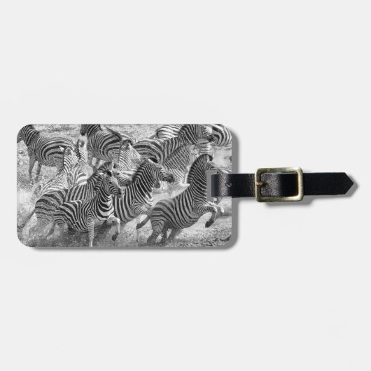 シマウマの走ること ラゲッジタグ (正面横)