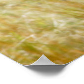 シマウマの野生動物のポスター、プリント、写真 ポスター (角)