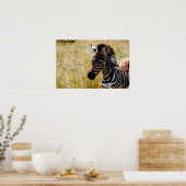 シマウマの野生動物のポスター、プリント、写真 ポスター (キッチン)