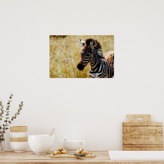 シマウマの野生動物のポスター、プリント、写真 ポスター (キッチン)