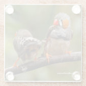 シマウマの鳴き鳥の生意気なペア ガラスコースター (裏面)