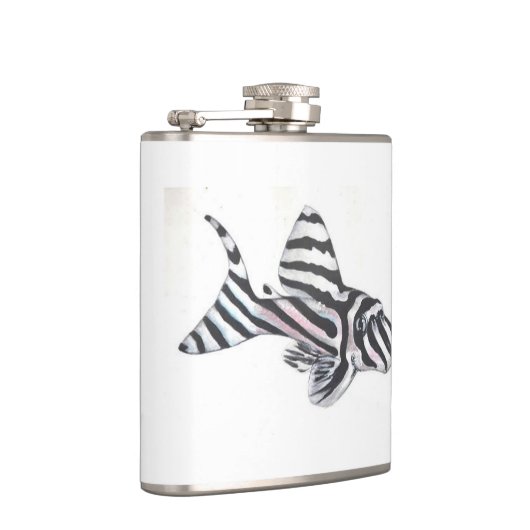 シマウマのPleco L46のナマズの小さいフラスコ フラスク (右)