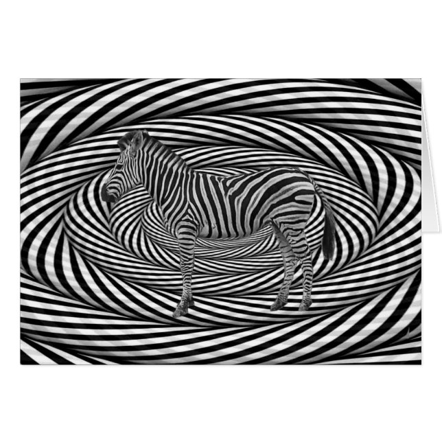 シマウマは眩まします (正面横)