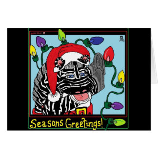 シマウマライト- HRB