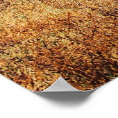 シマウマ放牧の小さな前輪（群れ） ポスター (角)