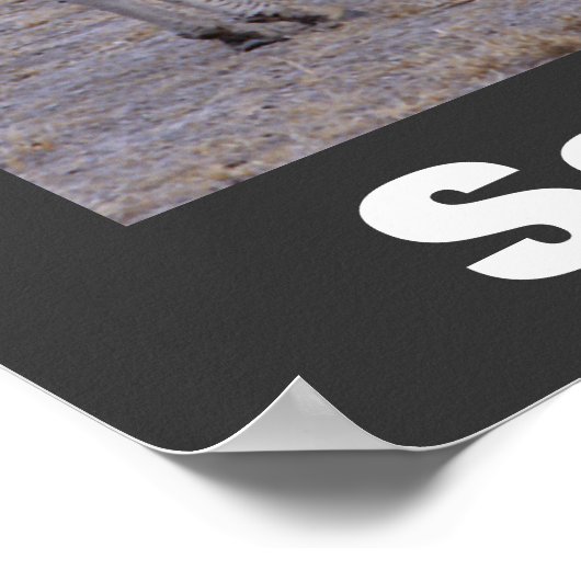 シマウマ救写真野生動物のポスター ポスター (角)