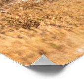 シマウマ群 ポスター (角)