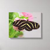 シマウマ蝶 キャンバスプリント (正面)
