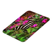 シマウマ蝶 マグネット (左側)