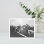 シマウマ跳び上げフェンス写真に乗る男 ポストカード (スタンド正面)