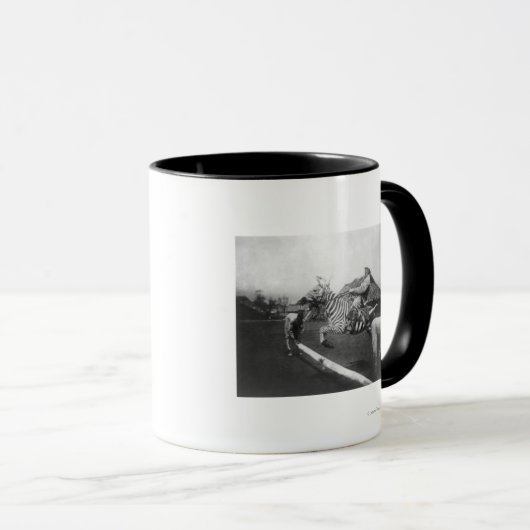シマウマ跳び上げフェンス写真に乗る男 マグカップ (正面右)