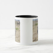 シマウマ2 マグカップ (中央)