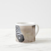 シマウマ エスプレッソカップ (正面右)