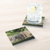 シマウマ ガラスコースター (アングル)