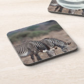 シマウマ コースター (左側)