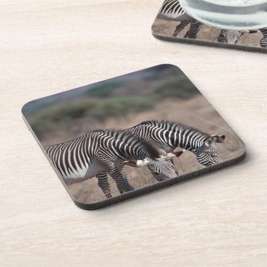 シマウマ コースター (左側)