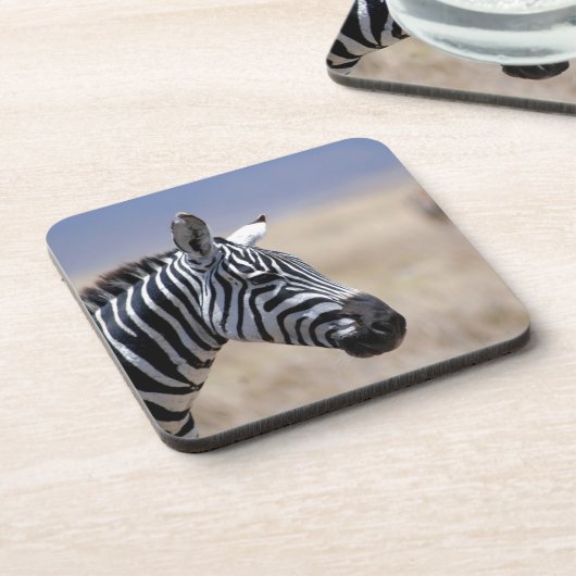 シマウマ コースター (左側)