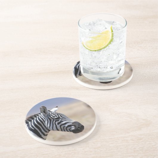 シマウマ コースター (側面)