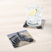 シマウマ スクエアペーパーコースター (インサイチュ)