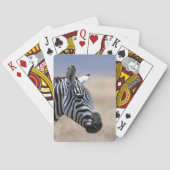 シマウマ トランプ (裏面)