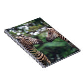 シマウマ ノートブック (右側)