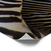 シマウマ ポスター (角)