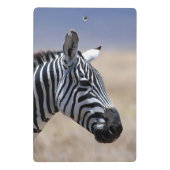 シマウマ ミニクリップボード (裏面)