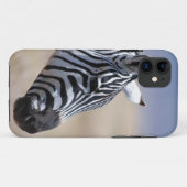 シマウマ Case-Mate iPhoneケース (裏面(横))