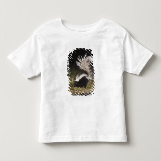 シマスカンク Mephitis mephitis トドラーTシャツ (正面)