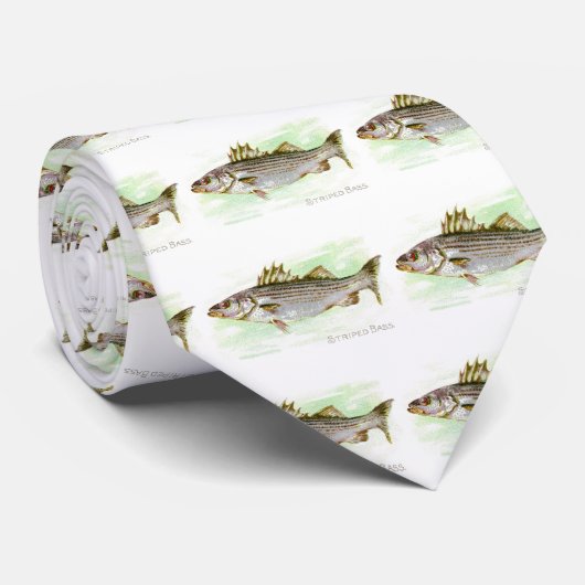 シマスズキ ネクタイ (ロール)